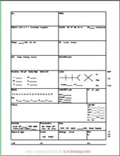 nurse brain sheet