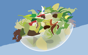 Bowl of salad