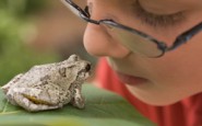 A letter to frog boy from your nurse