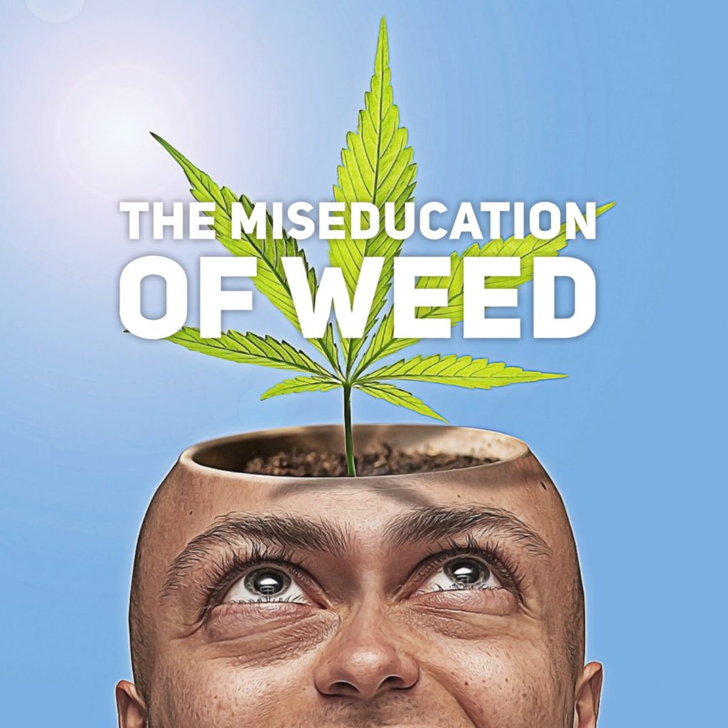Does Marijuana Cause Mental Illness Scrubs The Leading Lifestyle 