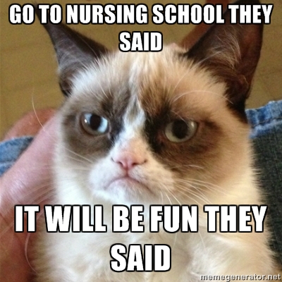 grumpy cat school meme